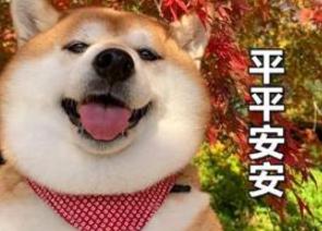 DƬ